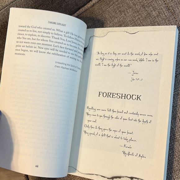 Free with purchase CHASING DAYLIGHT Erwin Raphael McManus BOOK - Picture 6 of 6